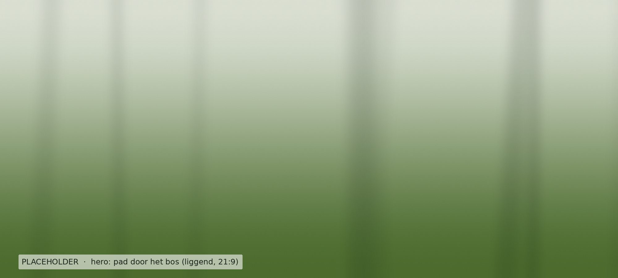 Een zandpad tussen hoge bomen in het bos.